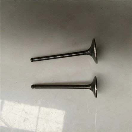 Vhodni ventil motorja CB250 za motocikel